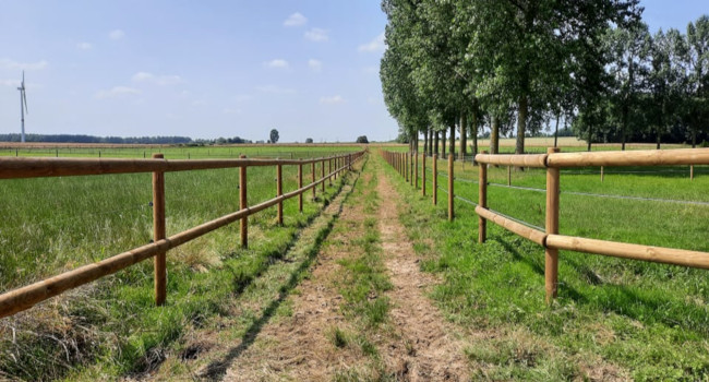 Chemin d'accès