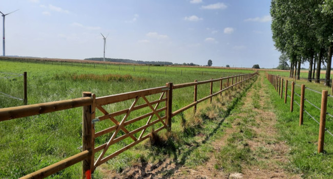 Chemin d'accès